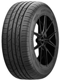 2x-fortune-viento-fsr-702-245-35-r19-93y-xl-rg-radom