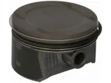 tlok-kolbenschmidt-40384620