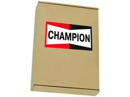 cewka-zaplonowa-champion-baea081e