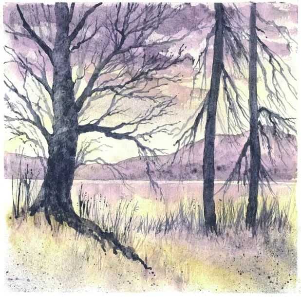 derwent-farby-graphitint-w-kostkach-akwarelowe-12k-stan-nowy-rodzaj-akwarelowe