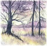 derwent-farby-graphitint-w-kostkach-akwarelowe-12k-stan-nowy-rodzaj-akwarelowe