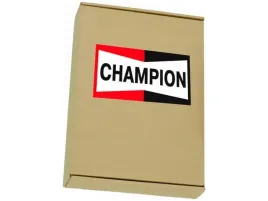 cewka-zaplonowa-champion-baea482