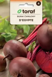 burak-d-egypte-10g-wczesny-soczysty-ladny-kolor