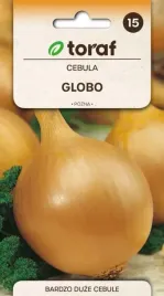 cebula-globo-duze-cebule-o-wyjatkowo-lagodne-2g