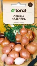 cebula-szalotka-ambition-f1-20szt