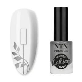 lakier-do-stempli-i-blaszek-ntn-premium-srebrny-7-ml-nr-91