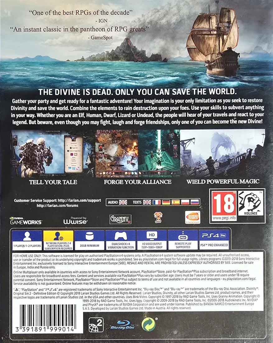 divinity-original-sin-ii-2-definitive-edition-pl-playstation-4-ps4-ps5