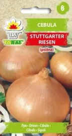 cebula-stuttgarter-3g-jasne-cebule-plenna-smaczna
