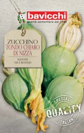 cukinia-tondo-chiaro-di-nizza-wloskie-nasiona-bavicchi-5g