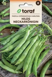 fasola-hilds-neckarkoning-10-g-tyczna-smaczna