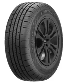 2x-fortune-perfectus-fsr-602-195-65-r15-91h-radom