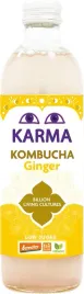kombucha-z-imbirem-niska-zawartosc-cukrow-fair-for-life-demeter-bio-500-ml
