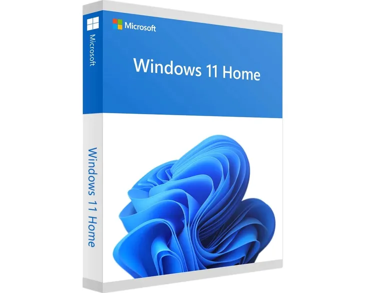 Windows 11 Home / Wyślij Natychmiast