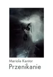 przenikanie-mariola-kantor