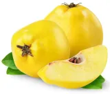 syrop-z-pigwowca-500-ml-certyfikat-certyfikat-produkcji-ekologicznej-ue