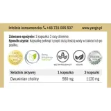 yango-cholina-650-mg-90-k-postac-kapsulki