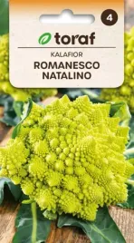 kalafior-romanesco-natalino-smaczny-i-ozdobny-1g