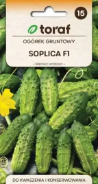 ogorek-gruntowy-soplica-f1-plenny-odporny-5g