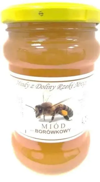 miod-borowkowy-400-g-ceron