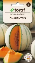 melon-charentaise-duze-aromatyczne-owoce-3g