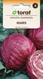 kapusta-czerwona-mars-maly-klab-nie-peka