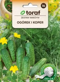 ogorek-koper-nasiona-na-tasmie-6m