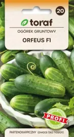 ogorek-gruntowy-orfeus-f1-smaczne-bez-goryczki-2g-toraf