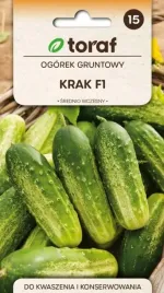 ogorek-krak-f1-plenny-i-odporny-na-choroby