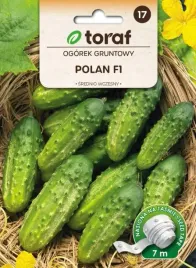 ogorek-polan-f1-nasiona-na-tasmie-7m-wygodnie