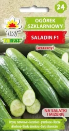 ogorek-saladin-f1-1g-szklarniowy-odporny-dobry