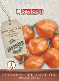 papryka-habanero-orange-wloskie-nasiona-bavicchi-07g