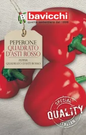 papryka-quadrato-d-asti-rosso-wloskie-nasiona-bavicchi-07g