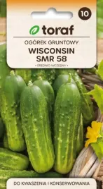 ogorek-gruntowy-wisconsin-snr-58-odp-na-parcha-5g