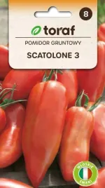 pomidor-scatolone-na-przeciery-i-ketchupy-05g
