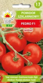 pomidor-szklarniowy-pedro-f1-smaczny-nie-peka
