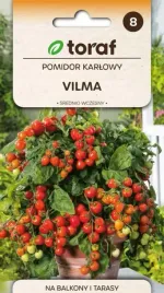 pomidor-vilma-karlowy-koktailowy-do-doniczek-03g