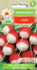 rzodkiewka-caro-nie-parcieje-smaczna-10g