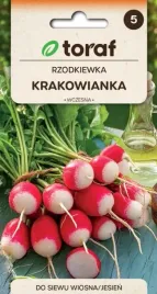 rzodkiewka-krakowianka-miazsz-bialy-i-jedrny-10g