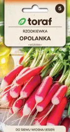 rzodkiewka-opolanka-wczesna-bardzo-plenna-10g
