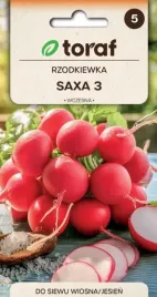 rzodkiewka-saxa-tradycyjna-polska-odmiana-10g