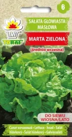salata-marta-zielona-maslowa-ladne-smaczne-glowki