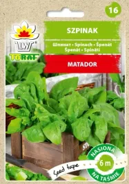 szpinak-matador-nasiona-na-tasmie-6m-bogaty-w-witaminy-toraf