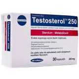 megabol-testosterol-250-30-kapsulek-kod-producenta-wefwefw23