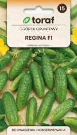 ogorek-regina-f1-5g-do-kwaszenia-i-konserwowania-toraf