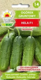 ogorek-hela-f1-smaczny-nie-zolknie-na-zaprawy-5g