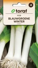 por-blauwgroene-winter-pozny-zimuje-w-gruncie1g