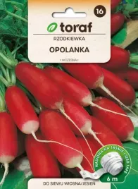 rzodkiewka-opolanka-nasiona-na-tasmie-6m-wygodnie