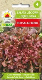 salata-lisciowa-red-salad-bowl-nie-tworzy-glowek