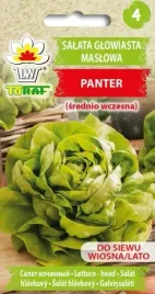 salata-panter-maslowa-tworzy-ladne-glowki