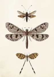 karnet-st407-b6-koperta-wazki